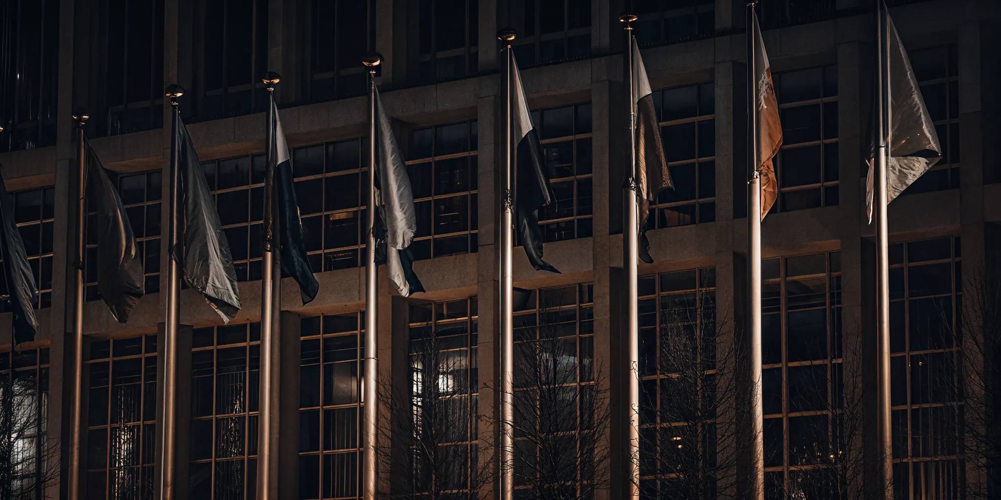 Custom feather flags with a logo illuminated outside a business at night.